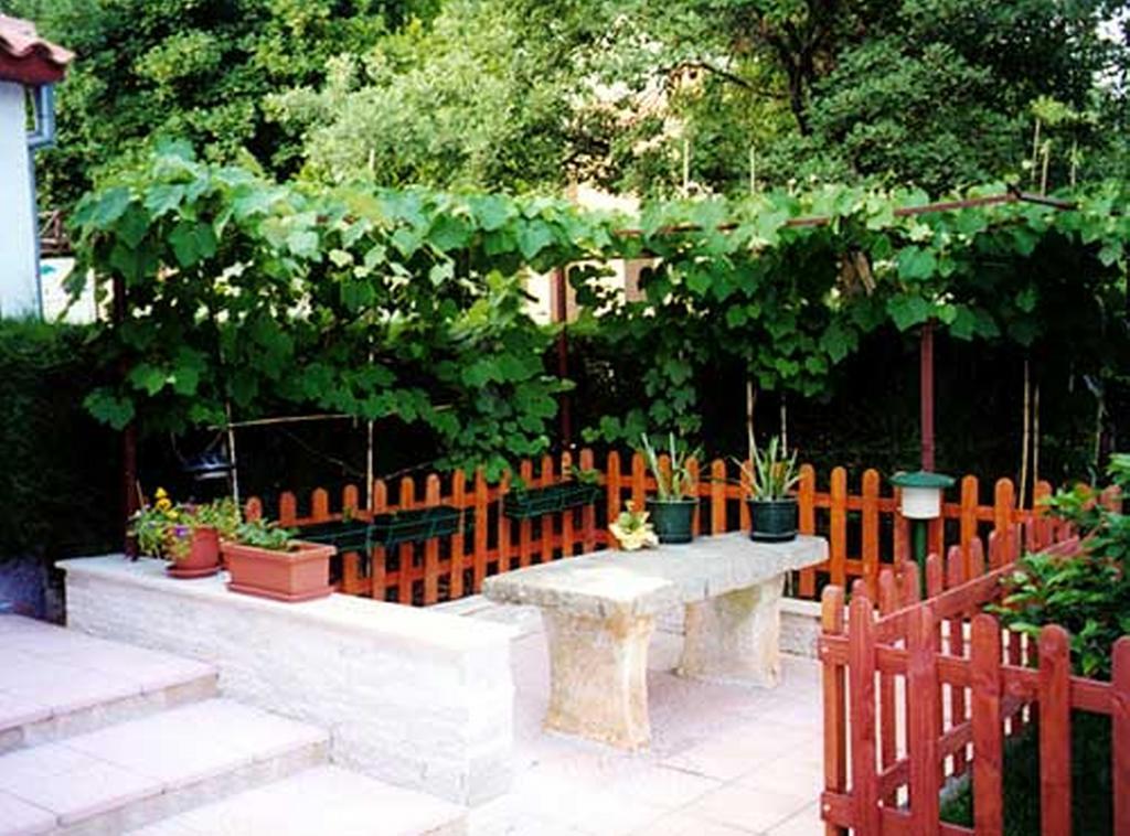 Apartment Felix Porec Exterior photo